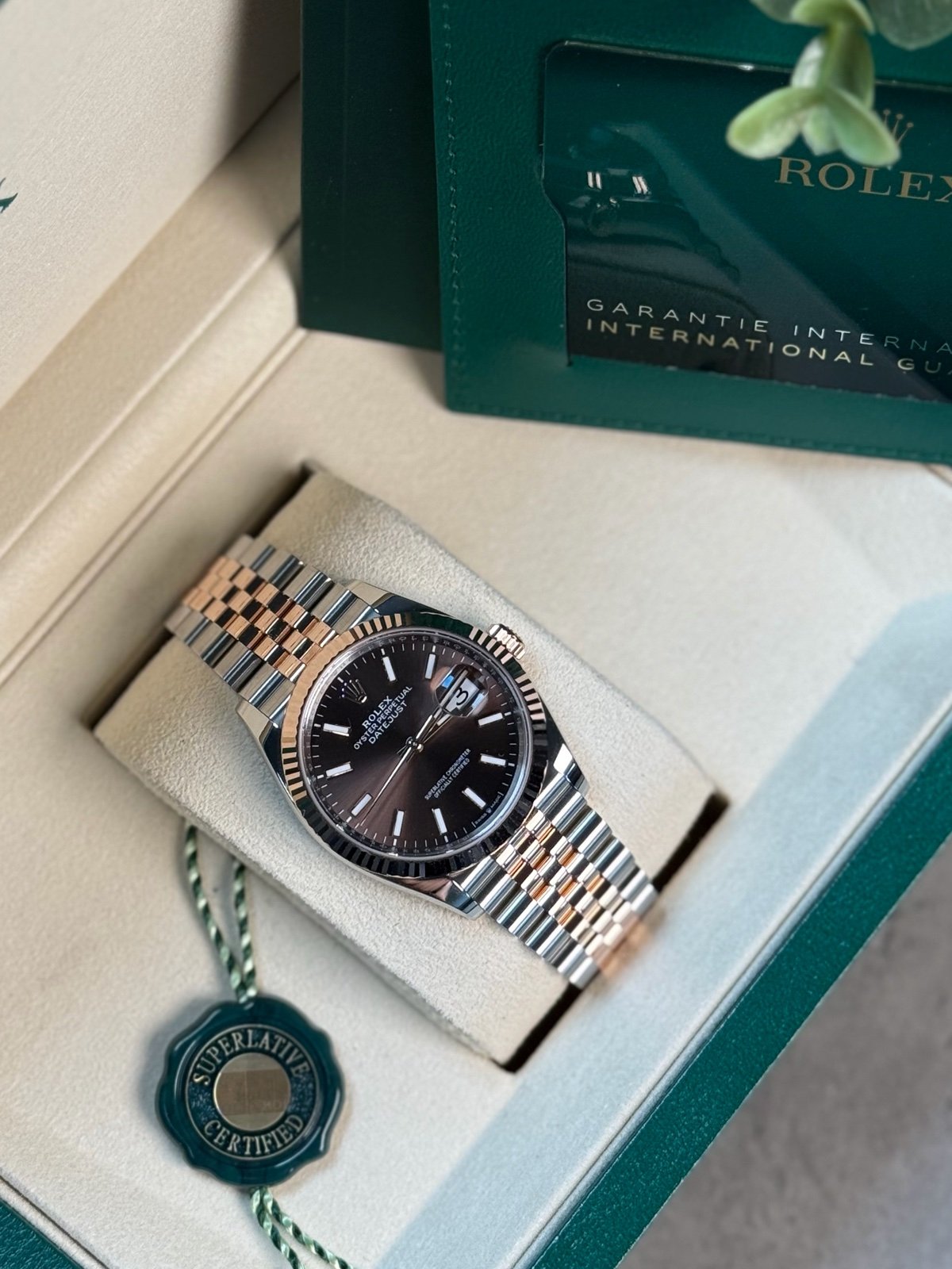 rolex-datejust-36mm-126231-choco-dial-2026